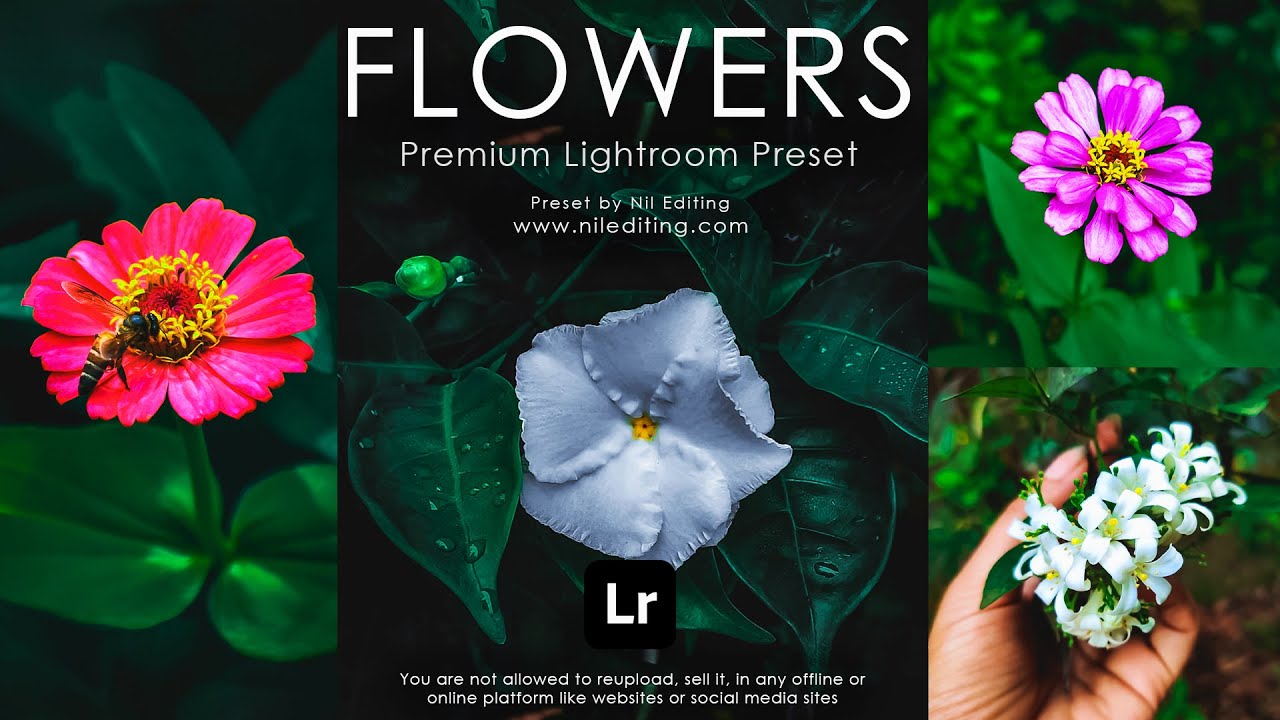 Creative Flowers Photography | Lightroom Mobile Presets DNG & XMP Download