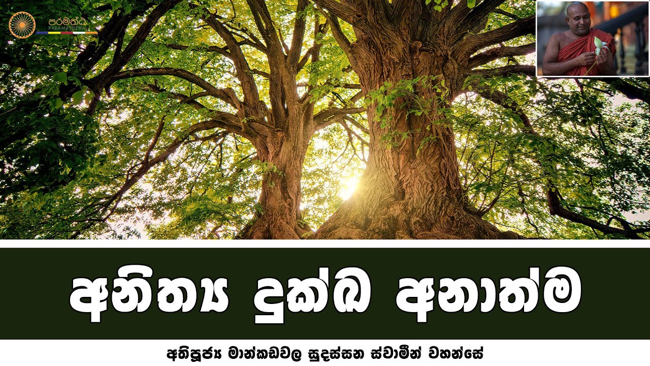 අනිත්‍ය දුක්ඛ අනාත්ම දැන සතිපටඨානය වඩන්න - අතිපූජ්‍ය මාන්කඩවල සුදස්සන ස්වාමින්වහන්සේ
