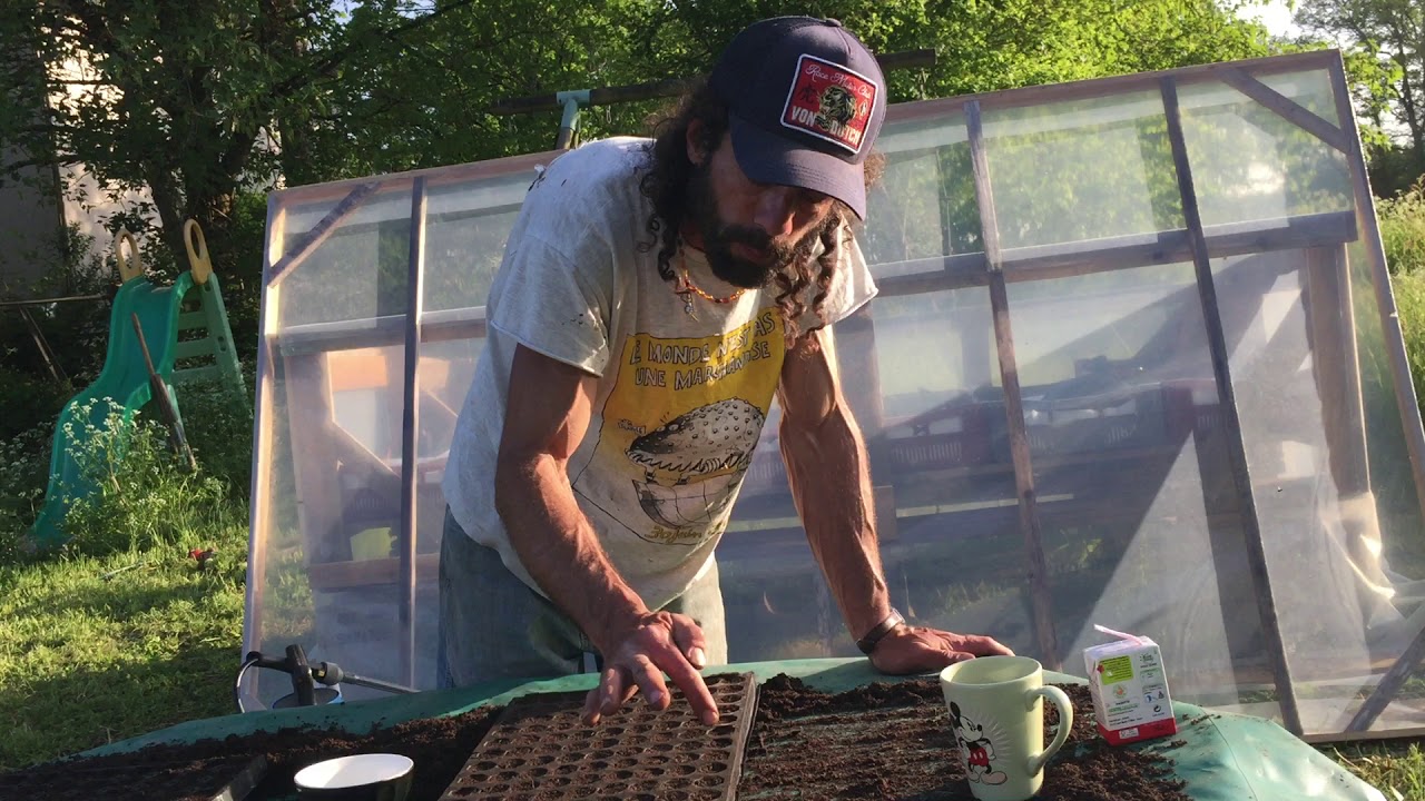Comment semer du tabac bio au jardin