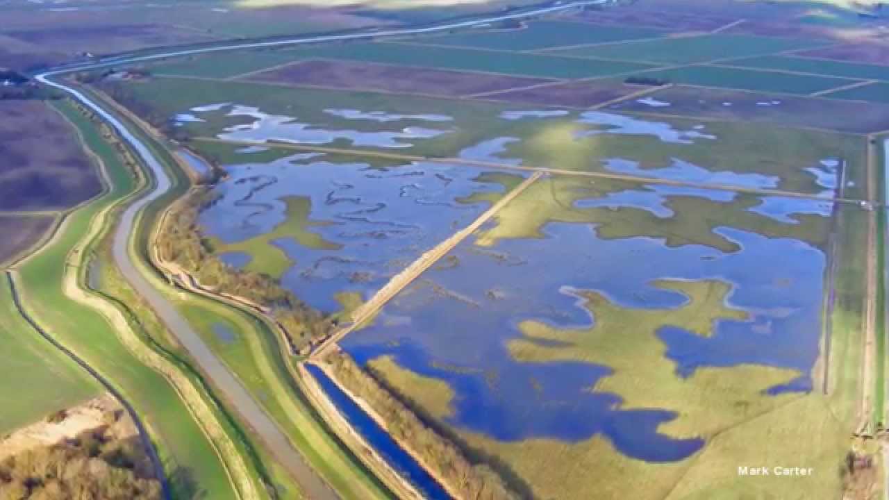 Willow Tree Fen Nature Reserve