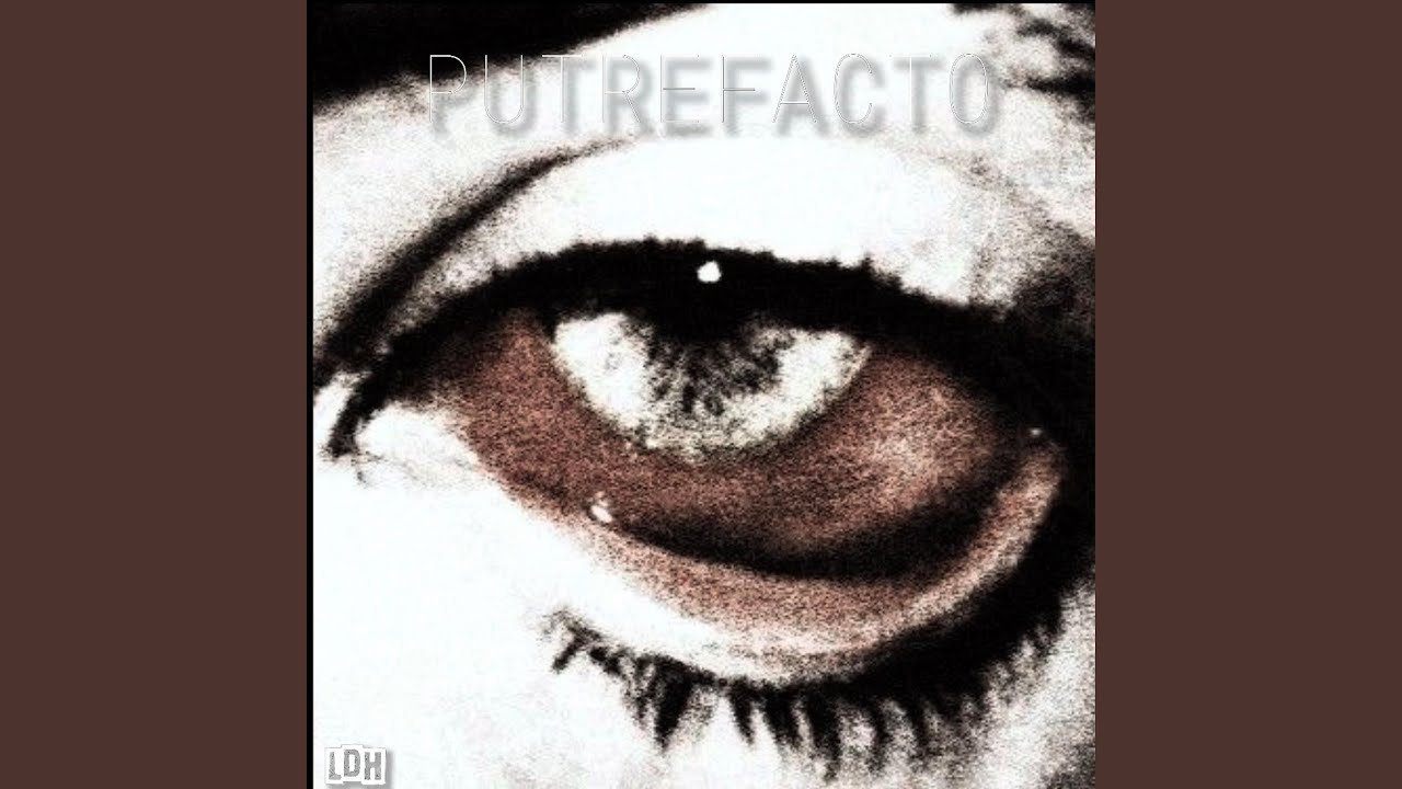 PUTREFACTO