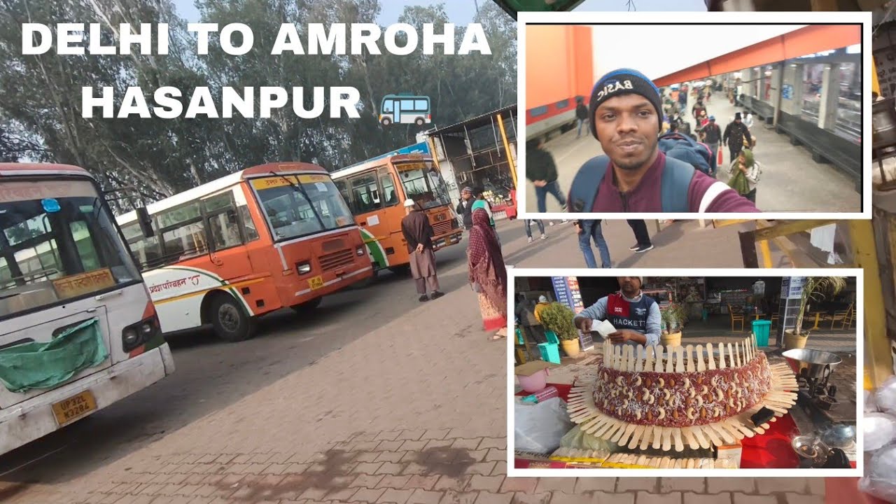 Delhi To Amroha Hasanpur 🚌