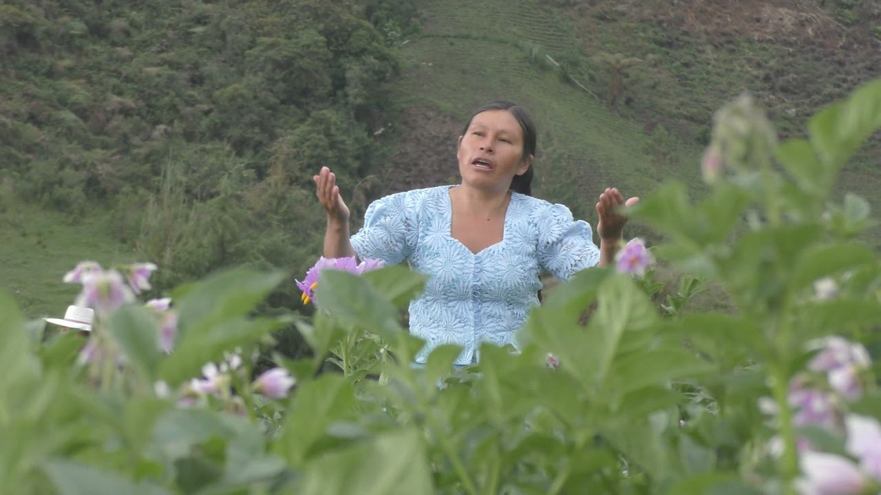 Ministerio Vida Nueva - Kusikuymanta Takisaj (Hmna Margarita)