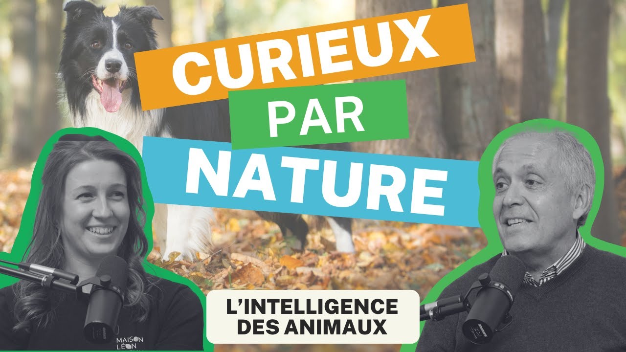 Curieux par Nature: Épisode 9 - l'intelligence des animaux