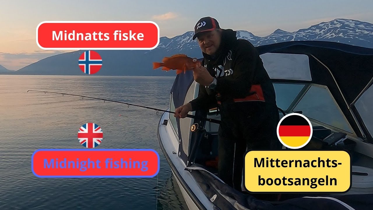 Coalfish technics and midnight sun