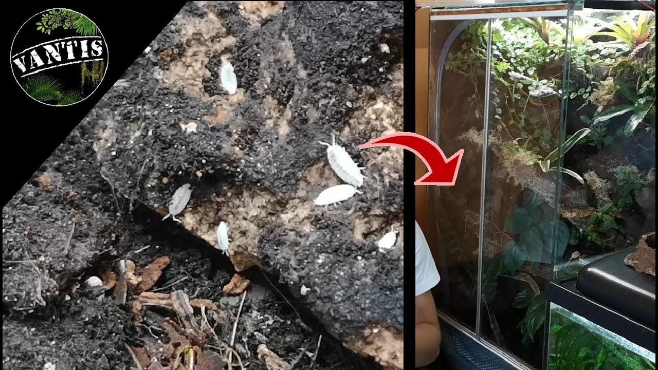 EKIPA sprzątająca w vivarium!