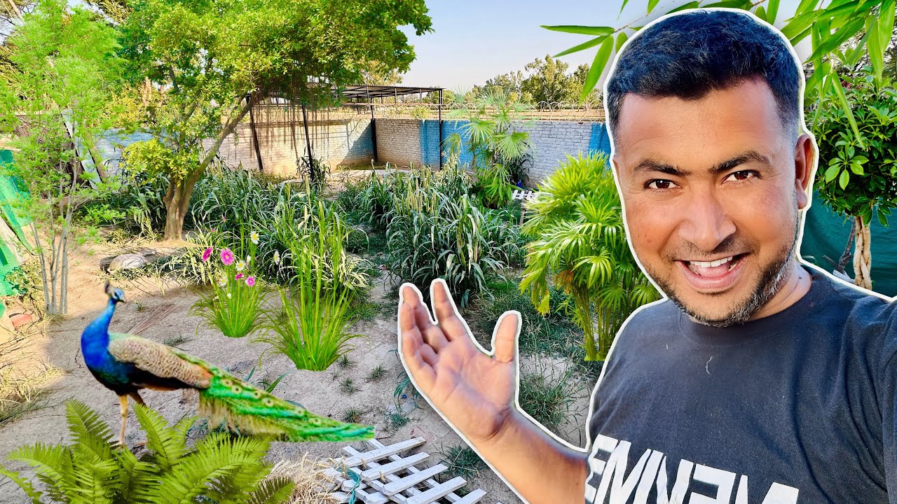 Hamara Zoo Jungle Ban Gaya😱