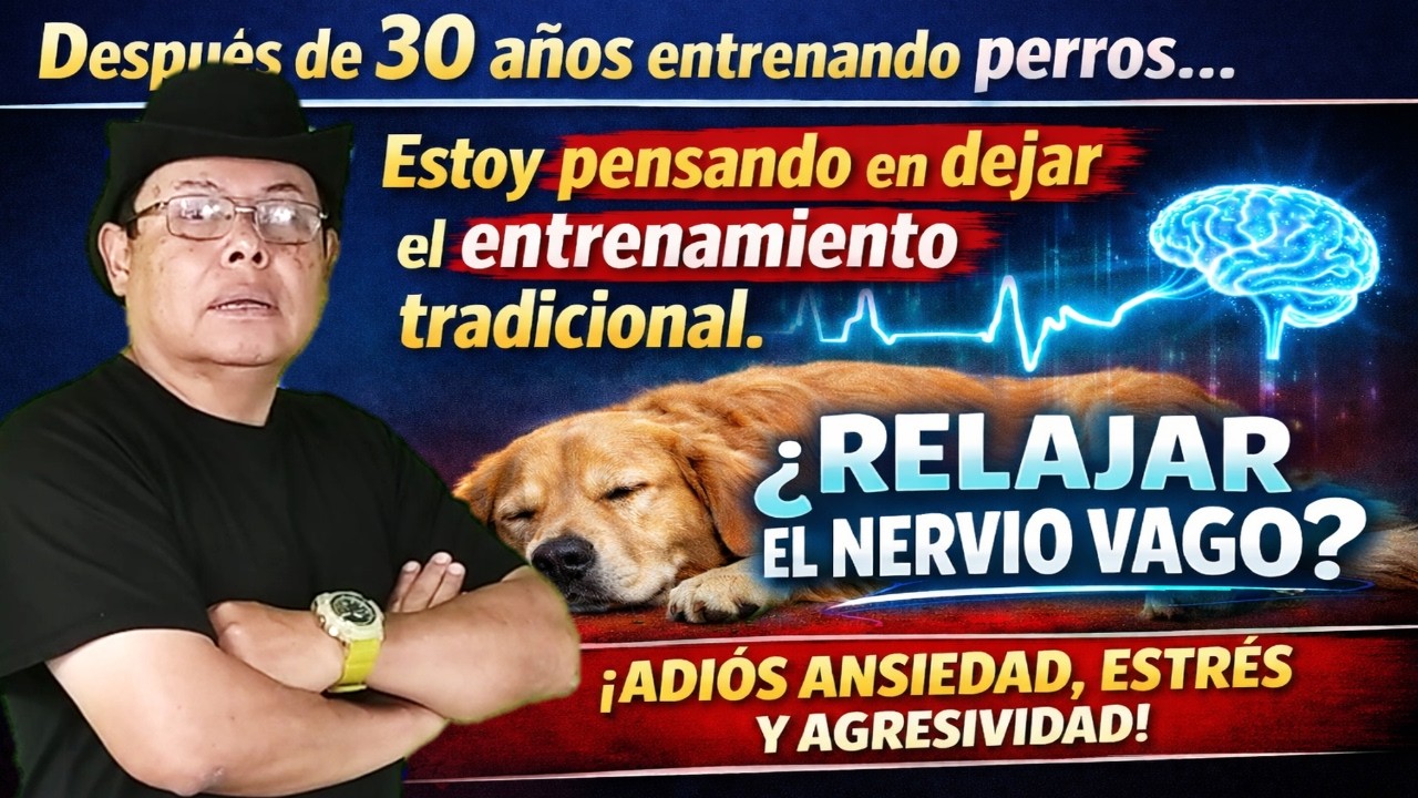 ¿Relajar el nervio vago reemplaza el entrenamiento canino? La verdad que pocos te dicen
