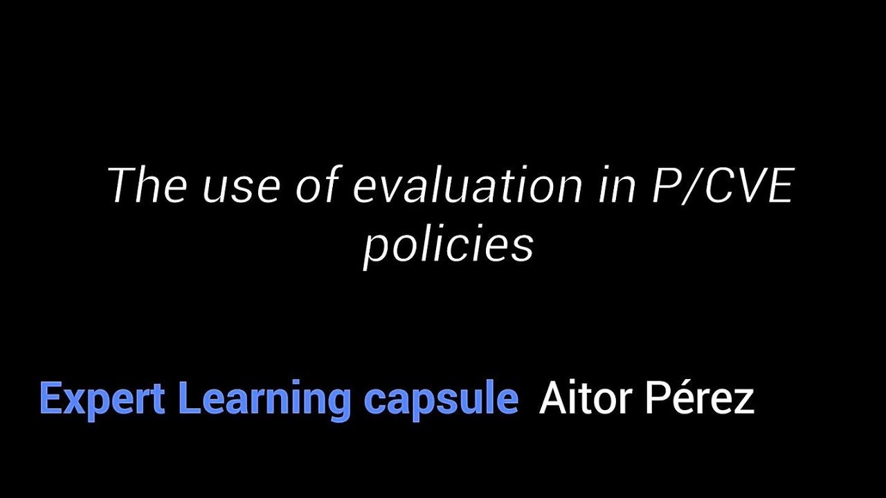 Expert Learning Capsule: The use of evaluation in P/CVE policies