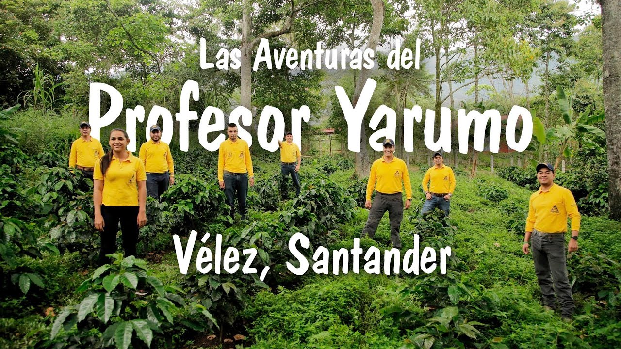 VELEZ SANTANDER: LAS AVENTURAS DEL PROFESOR YARUMO