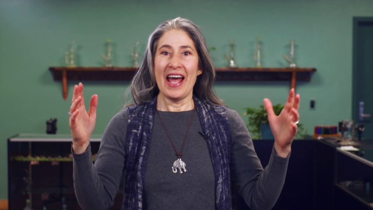 My Cannabis Journey - The Short Version - Ellementa