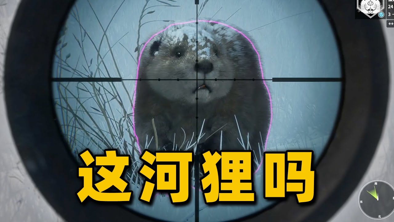 草里蹲了4个小时，就为了给它来一枪！【猎人：荒野的召唤】