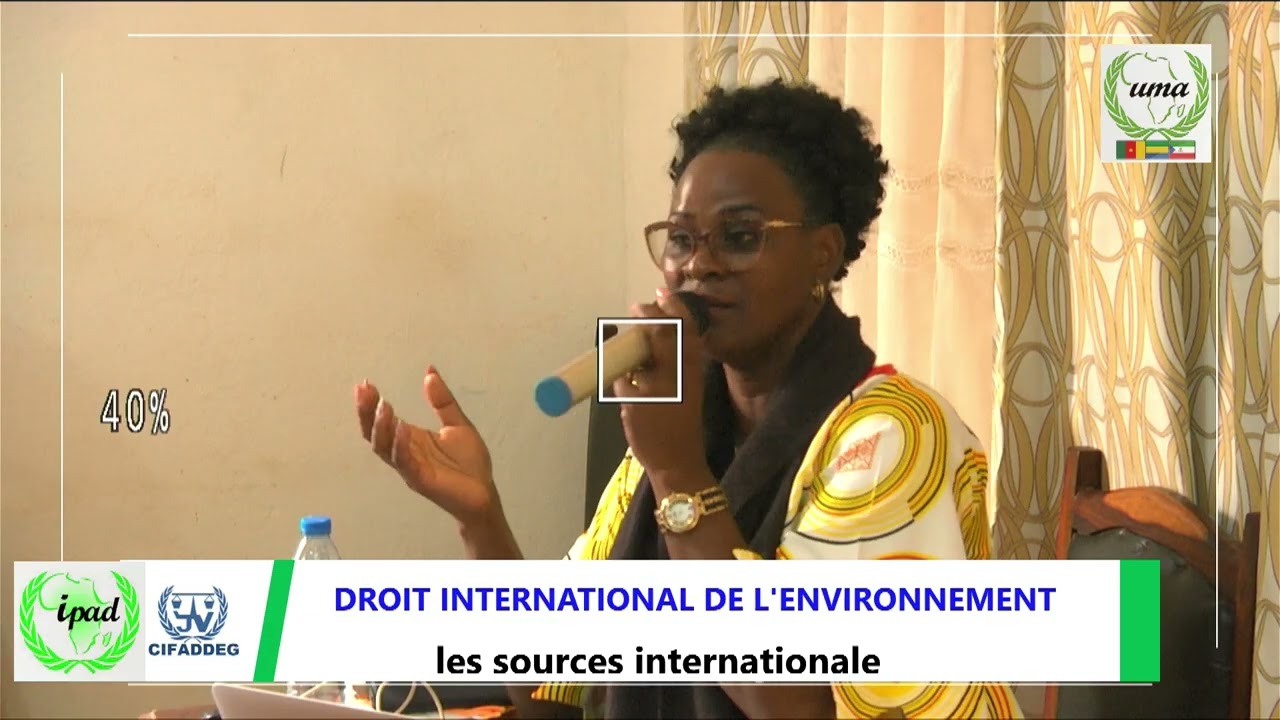 CARRIERES INTERNATIONALES ET DIPLOMATIQUES