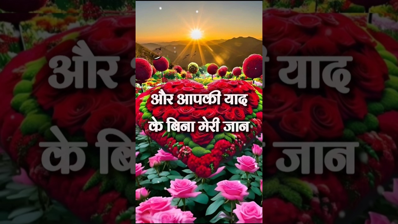 Love shayari video |  Good Morning Shayari | 