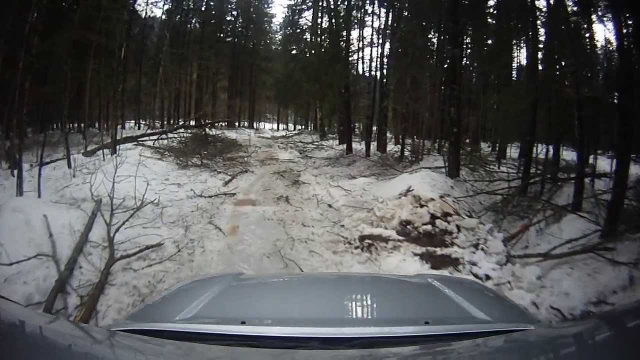 Posledice žledoloma v gozdu (Cerknica)
