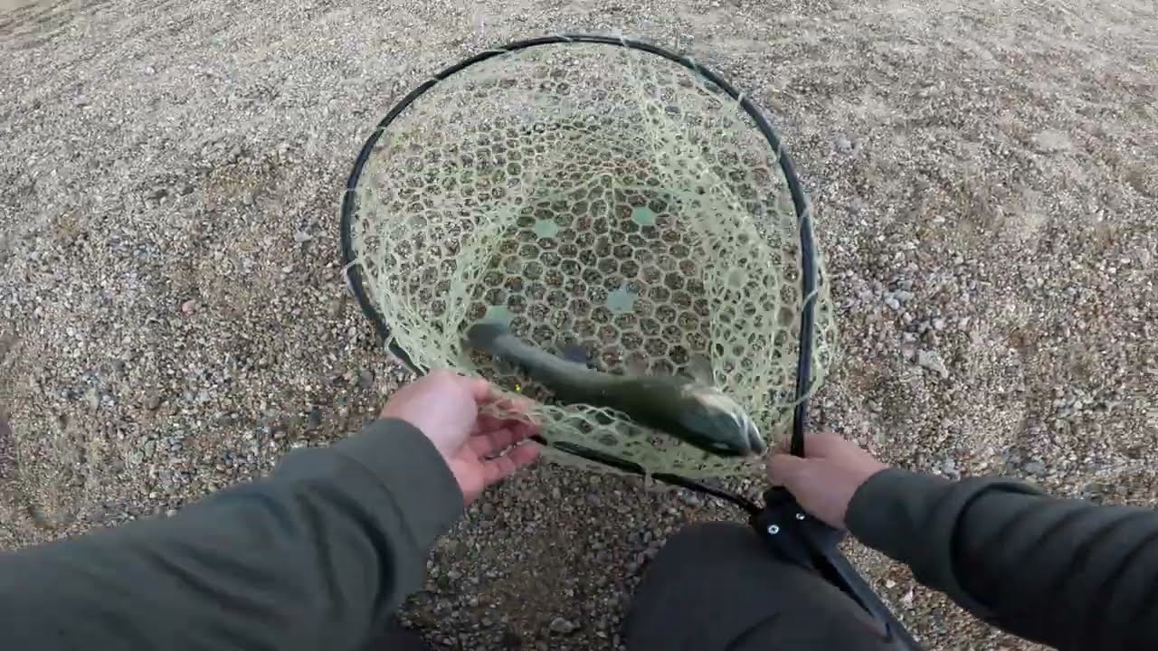 2025-2026 Lake Poway: Testing out my new custom trout rod and new jigs.