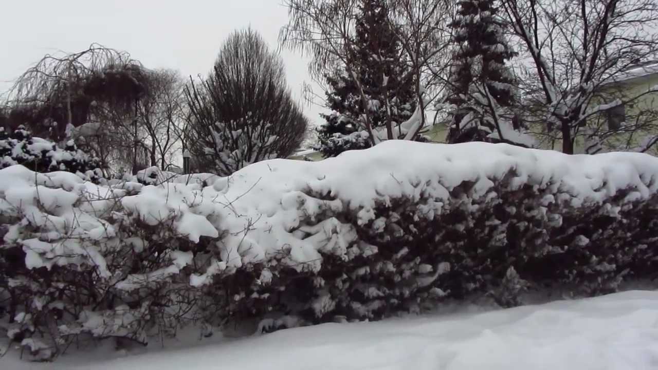 Wien im Winter - Jänner 2013 im Schnee