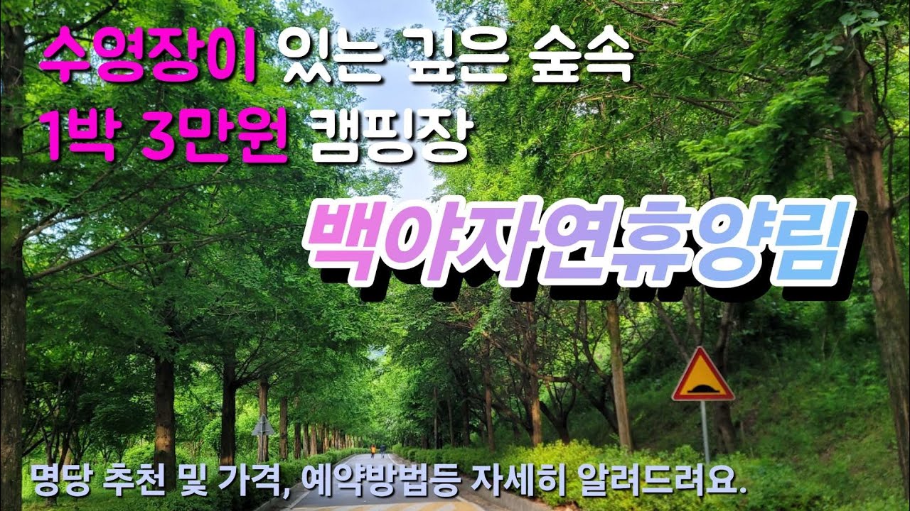 수영장이 있는 깊은 숲속 1박 3만원 캠핑장! 백야자연휴양림 캠핑장! 명당 등 자세히 알려드려요.
