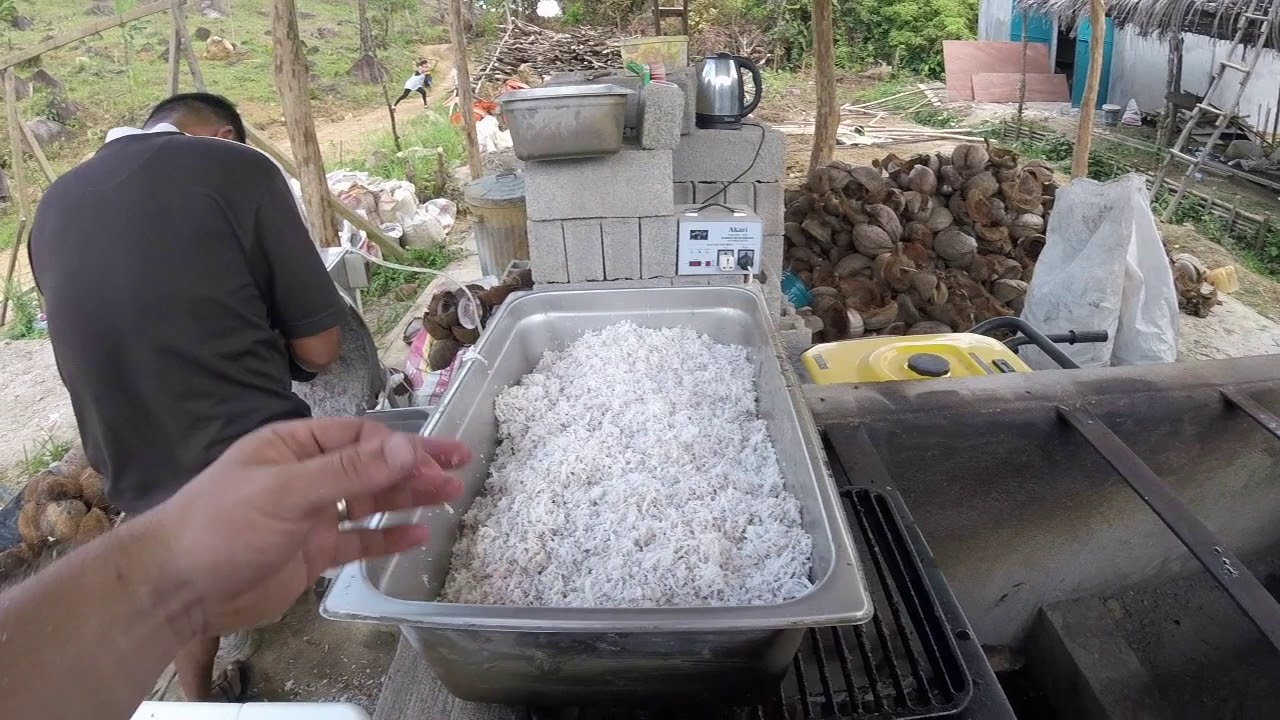 On décortique des noix de coco avec notre nouvelle machine.