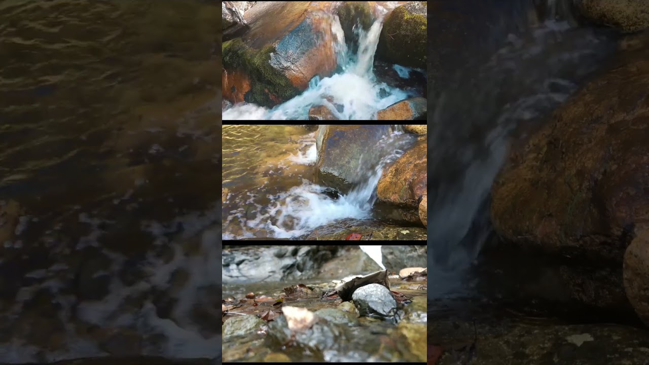 Rimbi River #anxietyrelief #nature #indianstate #asmr #travel #sikkim #photography #westsikkim