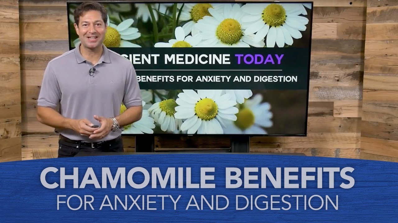 Chamomile Benefits for Anxiety and Digestion