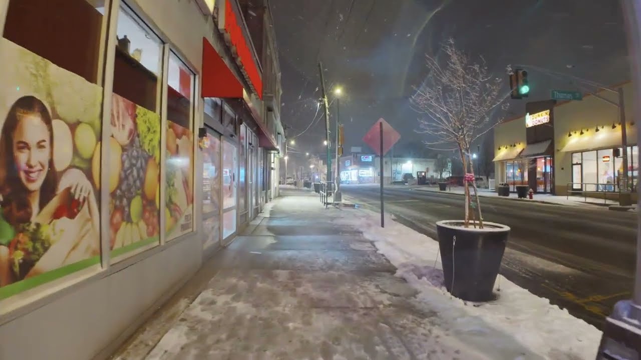 Walking Through a Snowstorm | East Coast America at Night