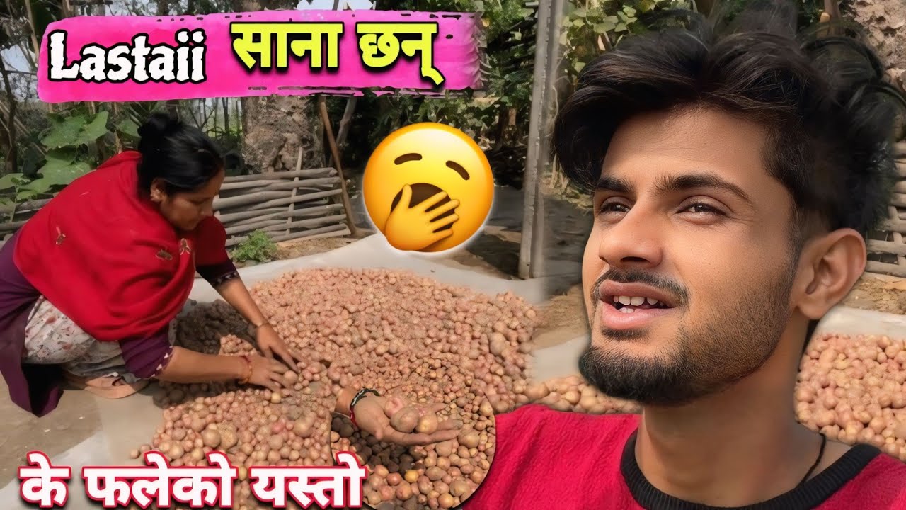 यस पालि Lastaii साना आलु फले 😁 किन होला यस्तो 🤔 ||Sagar Vlog|| @SagarVlog-S 