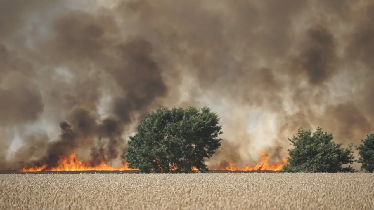 Großer Feldbrand bei Bassum - Feuer breitet sich durch starken Wind rasant aus
