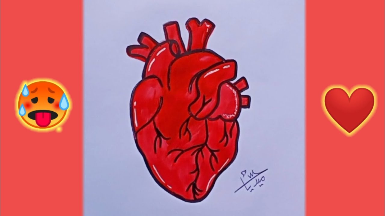 طريقة رسم قلب خطوة بخطوة ❤🥵