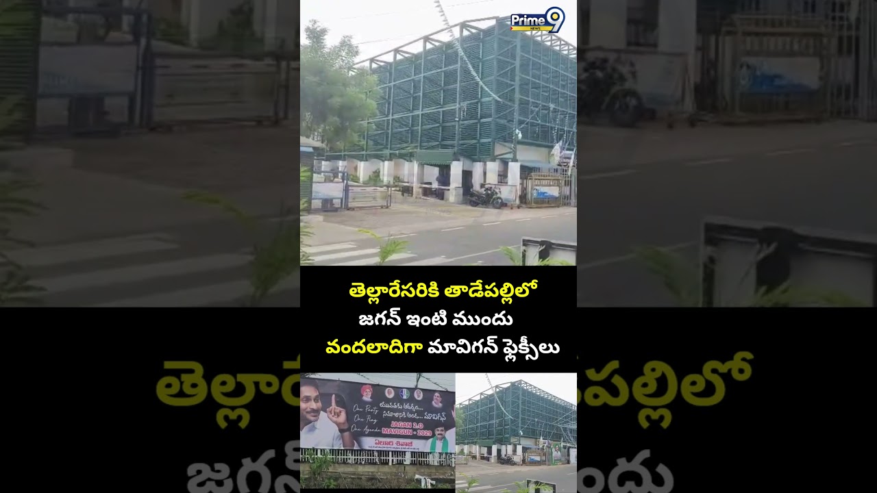 తెల్లారేసరికి జగన్ ఇంటి ముందు వందలాదిగా మావిగన్ ఫ్లెక్సీలు | Mavigun Flexis Y.S Jagan House Viral