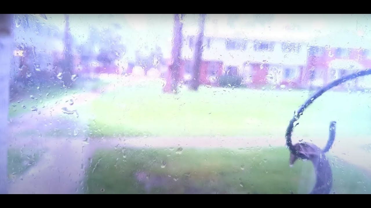 The Loudest Thunder I've Ever heard - Michigan 8/24/2023