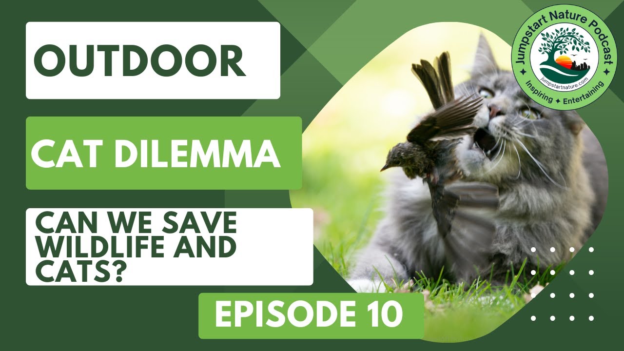 Episode 10: Can We Save Wildlife and Cats? The Outdoor Cat Dilemma [Audio Podcast]