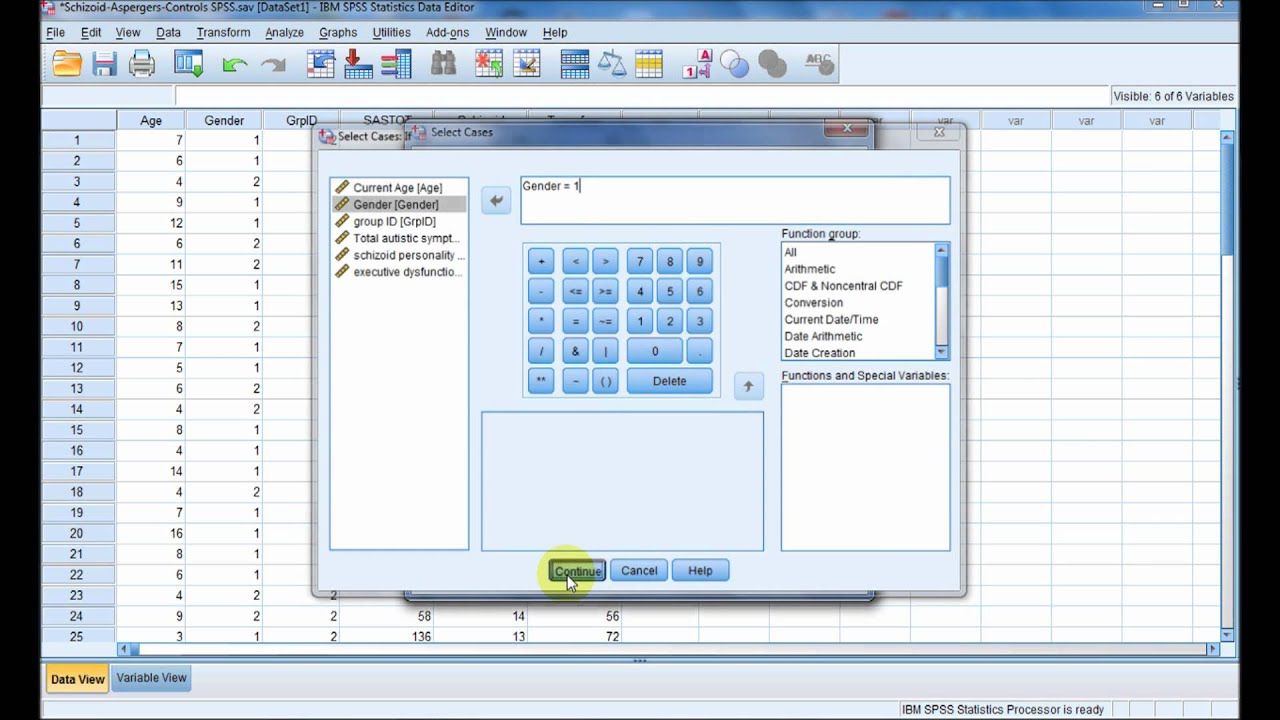 Data Set Manipulation in SPSS