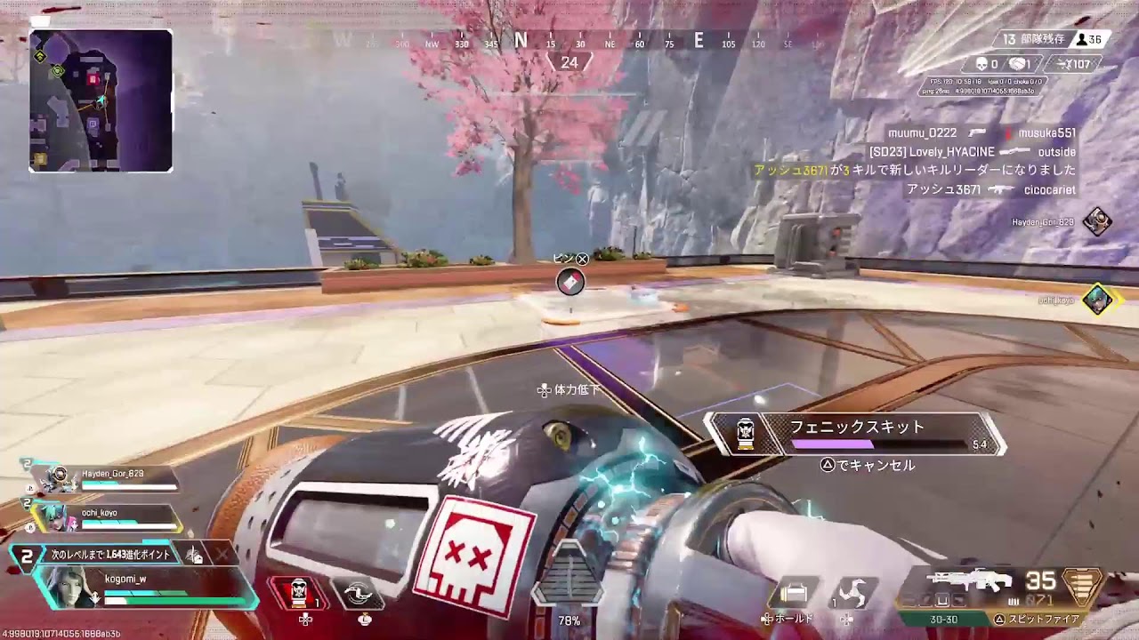 久しぶりAPEX
