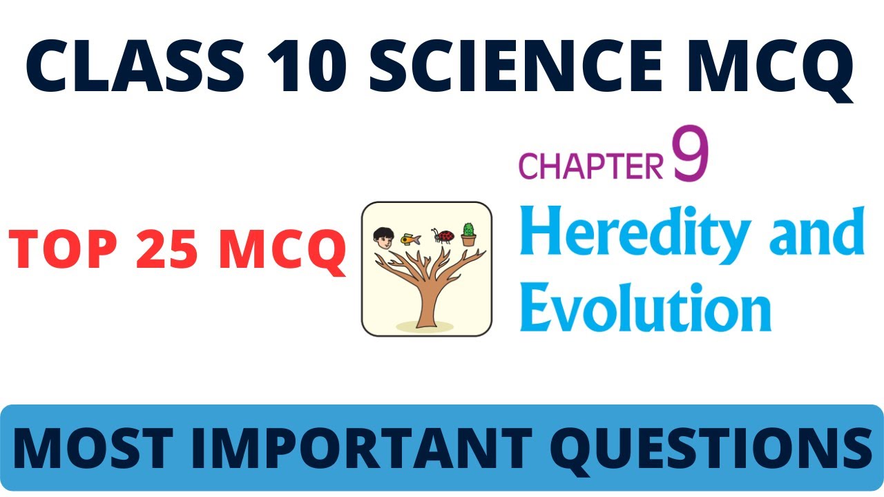 Best MCQ Class 10 Heredity | NCERT MCQs Full Chapter