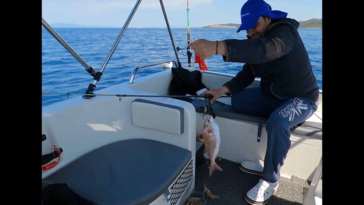 Köpek Balığı Geldi Moonday 480 İlk Balık Avımız. #mercan #tekne #balıkavı #tairubber