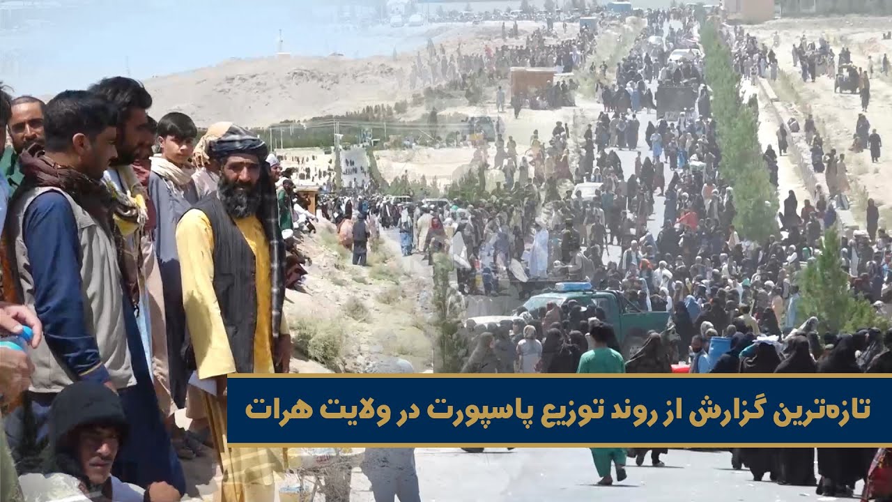 تازه‌ترین گزارش از روند توزیع پاسپورت در ولایت هرات