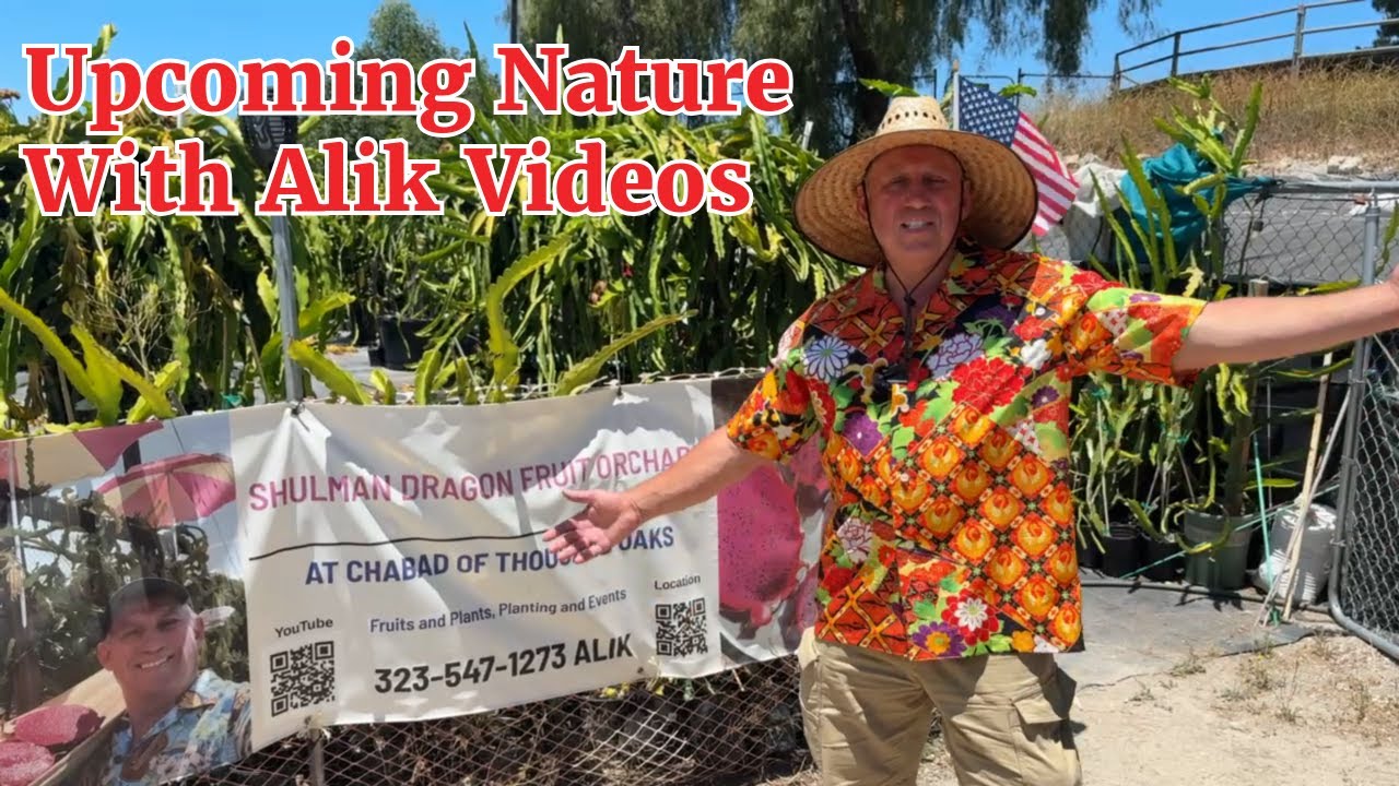 Upcoming Nature With Alik Videos