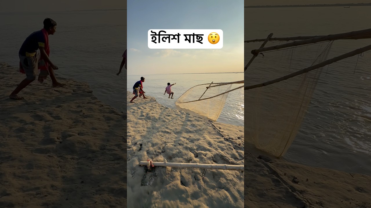 Unbelievable hilsa fishing method in muddy water 43 #fishing #hilsa #riverfishing