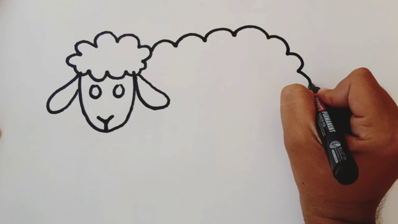 How to draw sheep🐐 | simple and easy | Easy Draw