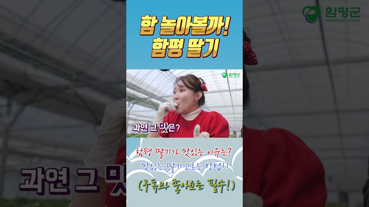 함 놀아볼까! 함평 딸기