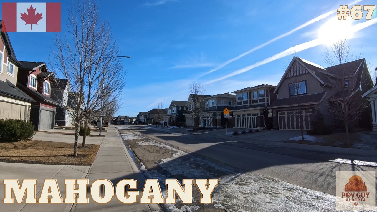 Mahogany Calgary Alberta 🇨🇦  4K Walking Tour Through One of Canada’s Most Beautiful Lake Communities