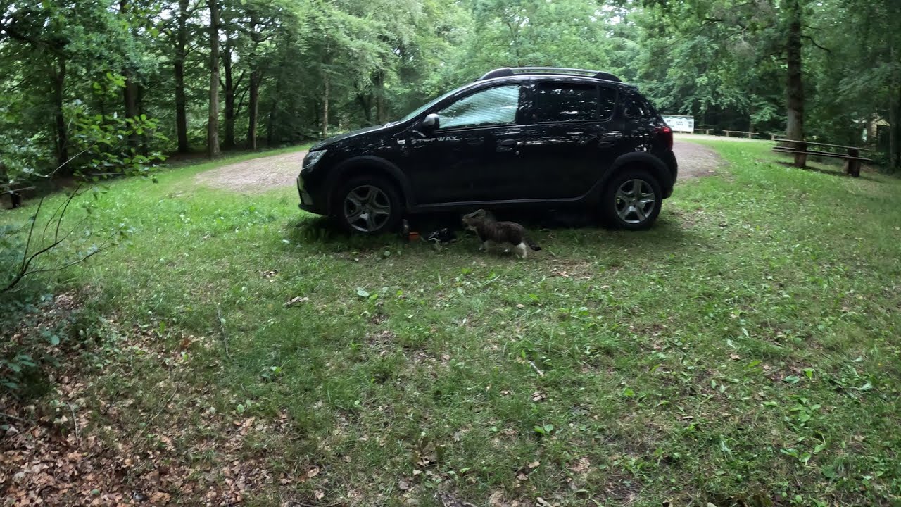 Wie ich im Auto Schlafe und Forelle Räuchern in Dänemark mit dem Minicamper (Dacia Sandero) !