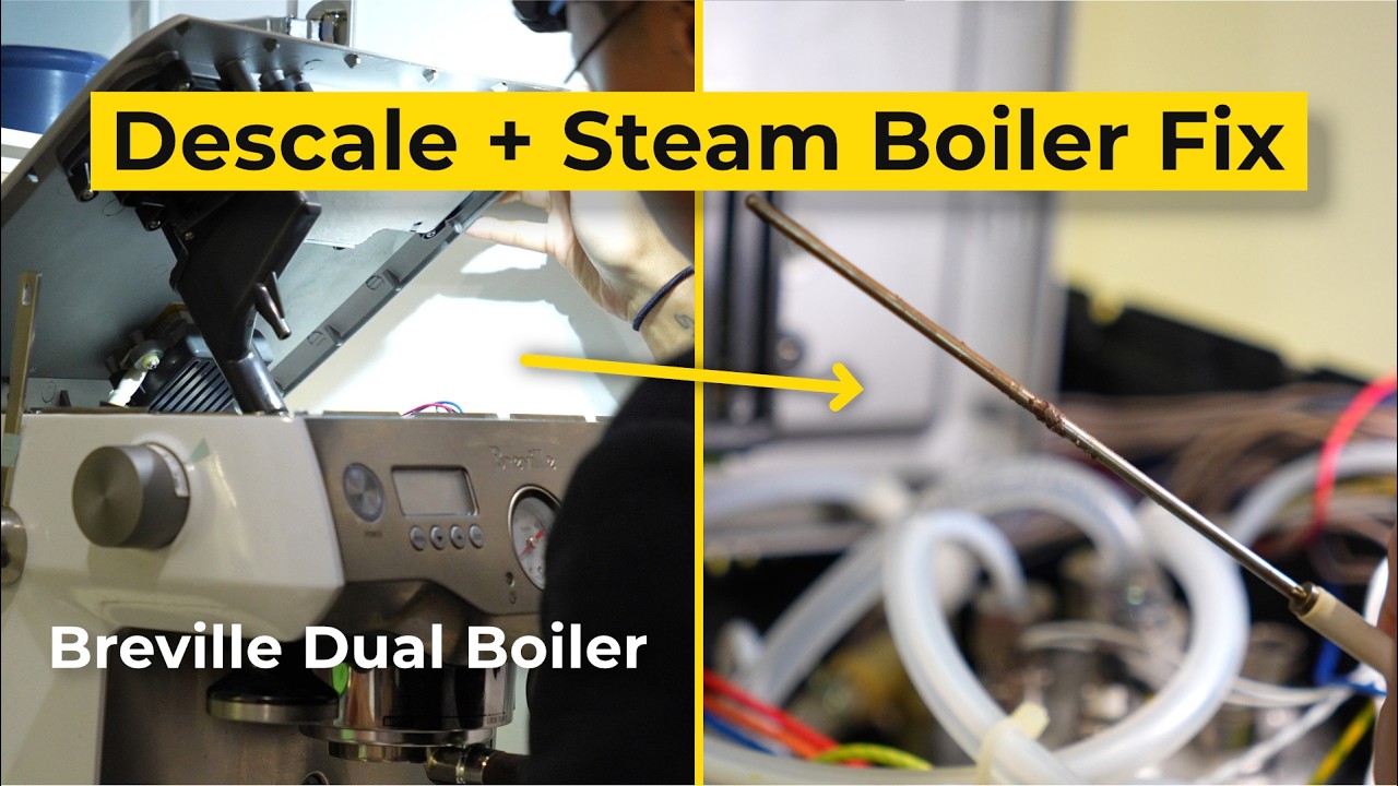 Как и зачем удалять накипь + устранение неисправностей Breville Dual Boiler (паровой котел не раб...