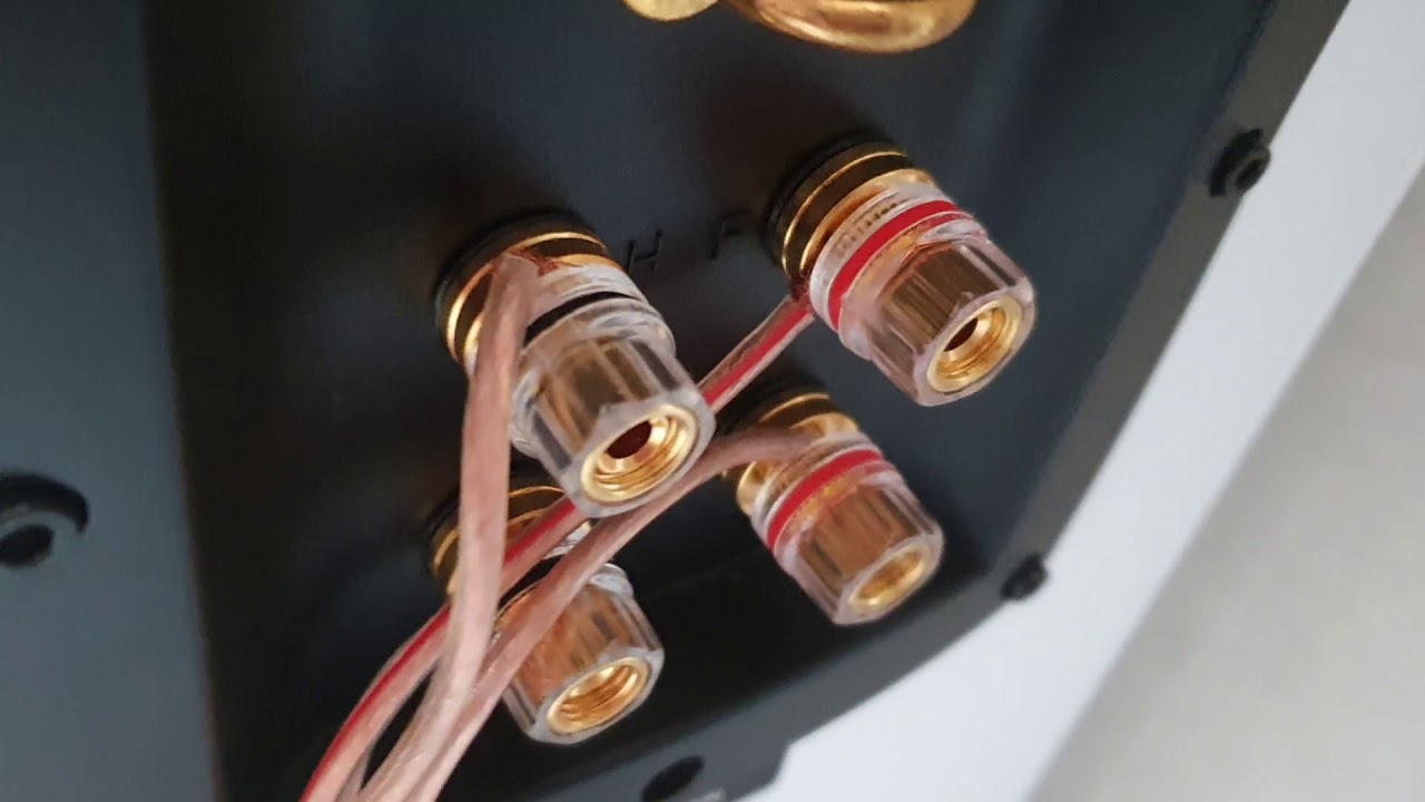 Dynavoice Definition DF-8 and 2× thunder T-12 