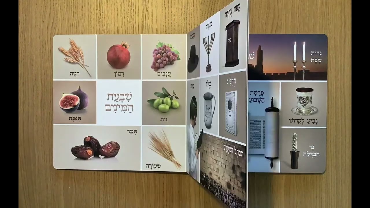 ספר חדש שהוצאנו לאור ממש בימים האחרונים - ׳מִלִּים רִאשׁוֹנוֹת בְּיַהֲדוּת לַיְּלָדִים׳