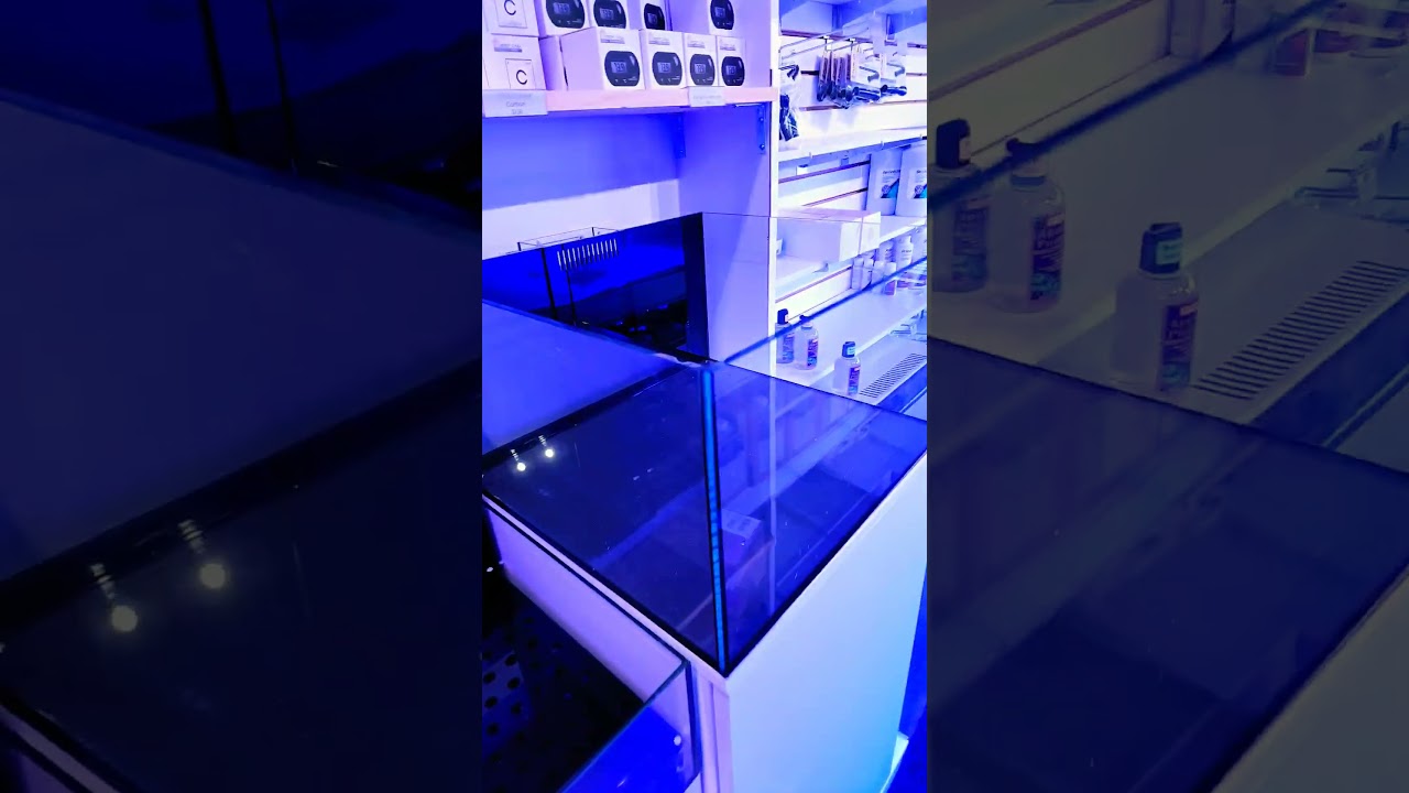 one more custom tank for sale! $300!! #aquariums