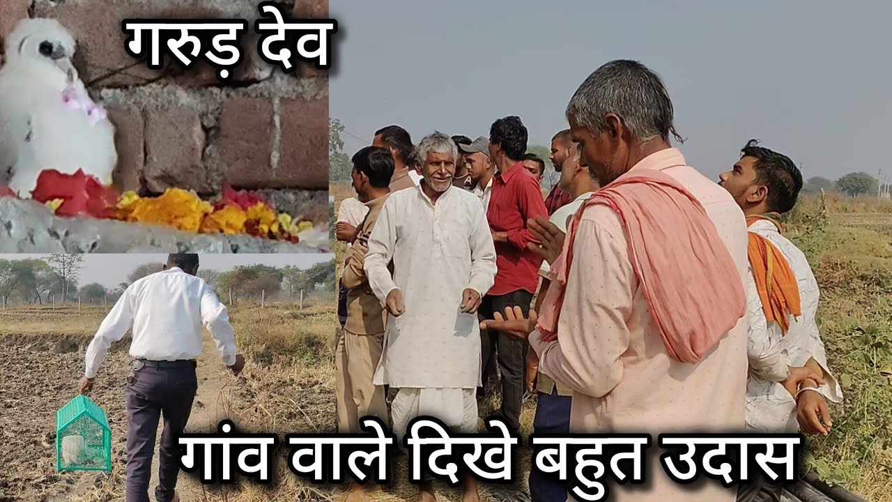 गरुड़ पंछि को वनविभाग के लोग ले गया और गांव वाले बहुत उदास हो गए🤔🦉// #vanvibhag #garur #trending 