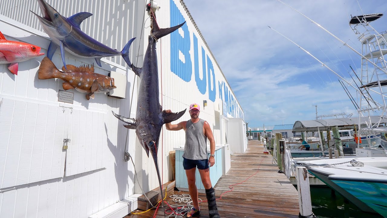 HUGE Swordfish + Big Changes Coming Soon! September Fishing Report!