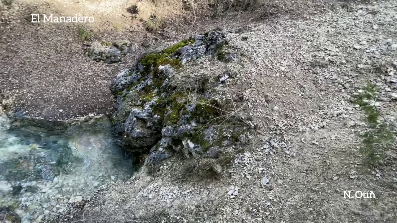 El Manadero del arroyo de la Mostaza, 19/02/21